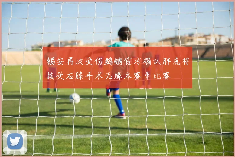 锡安再次受伤鹈鹕官方确认胖虎将接受右膝手术无缘本赛季比赛